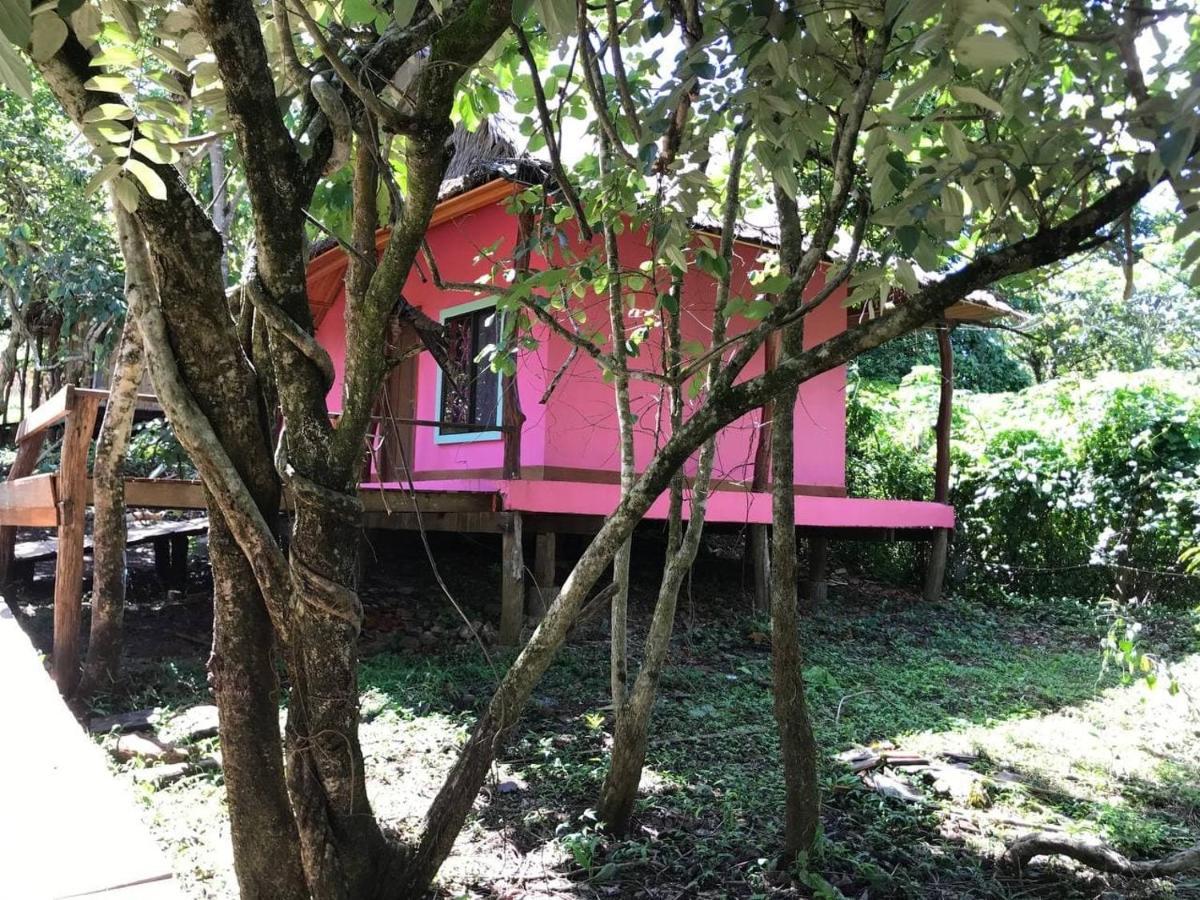 Gibbon Lodge Sen Monourom Luaran gambar