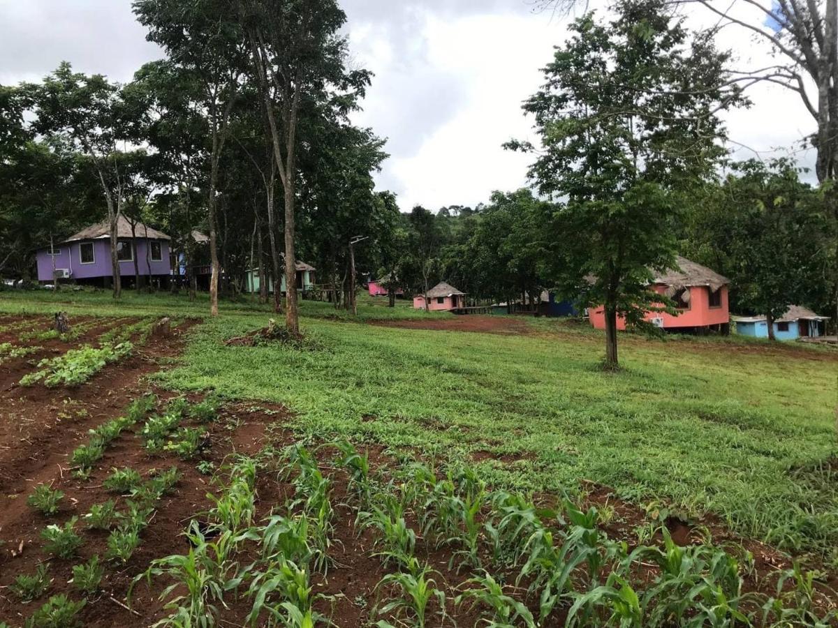Gibbon Lodge Sen Monourom Luaran gambar